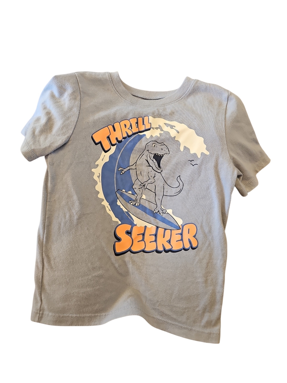Thrill Seeker Dinosaur Graphic Tee - Gray Kids Boy Size 3t Blue